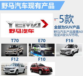 此野马非彼野马 2016年有望连推3款全新车型，加速新车销售布局