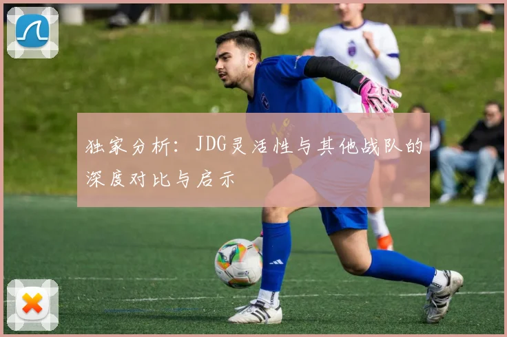 独家分析：JDG灵活性与其他战队的深度对比与启示