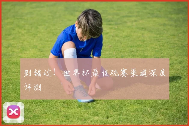 别错过！世界杯最佳观赛渠道深度评测